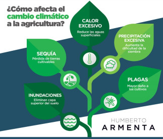 ¿Cómo afecta el cambio climático a la agricultura?